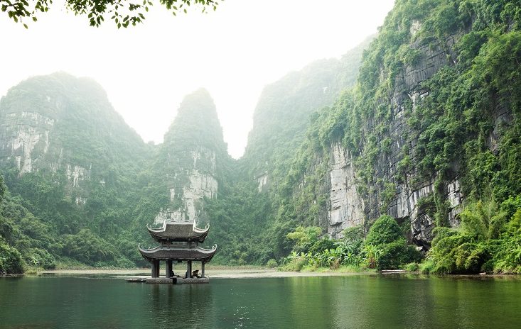vietnam-singapore double tax treaty scope