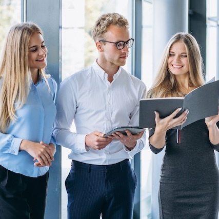 explaining details about company constitution singapore
