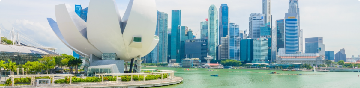 import-export-company-singapore